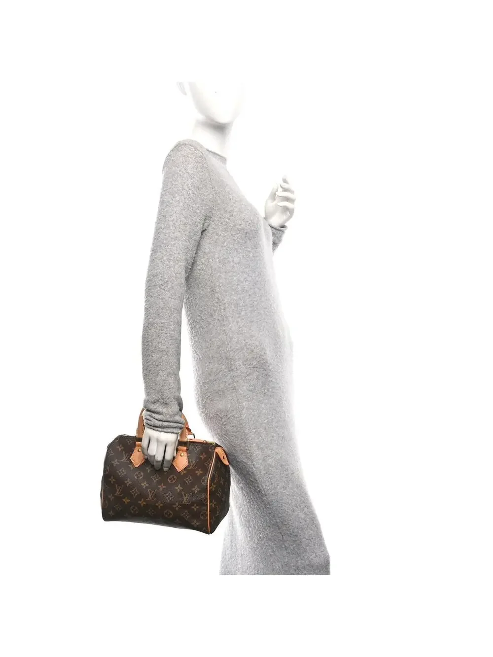 Louis Vuitton Speedy 25 #291042L14B